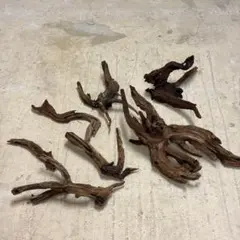希少 ADA ホーンウッド 流木 特大 アクアリウム アーチ状 - メルカリ