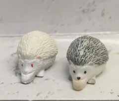 Item thumbnail for item 78e14d21-c5d9-4e64-9f47-afde1bb5b7cf