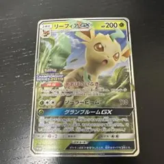リーフィアgx プロモ　チャンピオンシップ2019