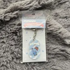 jochum ジェオチャム レイン キーホルダー