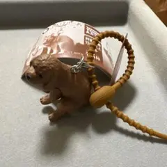ふんばりーぬ 3 トイプードル