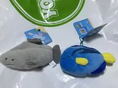 つぶらな瞳の水族館 魚のぬいぐるみ2種類セット
