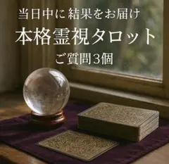 ご質問3個 本格霊視×タロット 当日中に鑑定結果をお届け 深掘り鑑定 チャット占