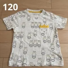 グラニフ ミッフィー Tシャツ 120