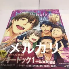 激レア Cool-B 2011年 1月号 VOL.35 ドラマダ 表紙 付録なし - メルカリ