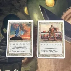 MTG ポータル三國志 セット 中国語 最終値下げ 1パック)《ポータル三国志ブースターパック簡体字版》[PTK] | 日本最大