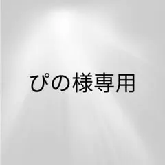ぴの様専用ページ