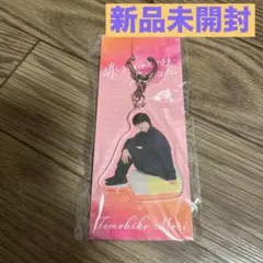 公式 Aぇ! group 小島健 消し好き アクリルキーホルダー