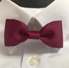【454】蝶ネクタイ ワインレッド 発表会 入学式 卒園式 結婚式 七五三