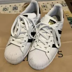 Item thumbnail for item e0a6c33a-75a9-4f28-95a9-591f05c8b1c6