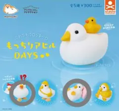 ふわふわフロッキーのもっちりアヒルDAYS ガチャ 3体