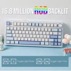 Sea Salt BlueLEOBOG Reaper Switch キーボード