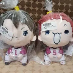 ハイキュー!!　もちぴこぬいぐるみ 牛島若利 天童覚 マスコット