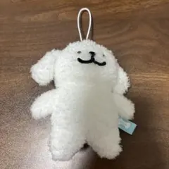 Maltese ぬいぐるみ