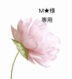 M★様　専用