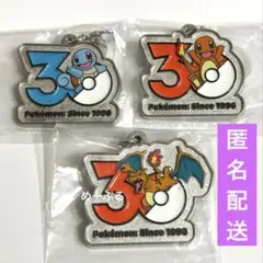 ポケモン30周年　メタルチャームマスコット【ヒトカゲ】【リザードン】【ゼニガメ】