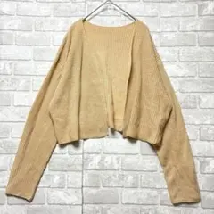 ニットカーディガン XL ベージュ 美品 大きいサイズ 羽織り ショート丈