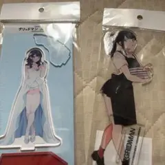2026年最新】宝田六花 アクリルスタンドの人気アイテム - メルカリ