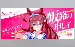 新品未使用 ウマ娘 プリティーダービー ミホノブルボン B2布ポスター