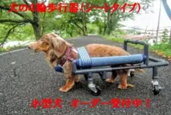 maki様専用M.ダックス4輪 リハビリ食事補助 犬用車椅子 介護用 犬の