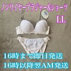 ノンワイヤーブラジャー&ショーツセット　ブラショーツ　上下セット　L L
