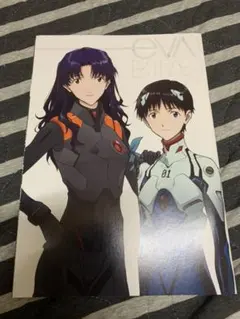 シン エヴァンゲリオン劇場版 入場者特典　薄い本