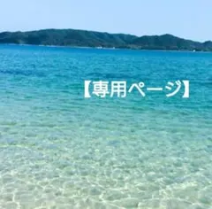 【専用ページ】 貝殻 おまとめ３点☆