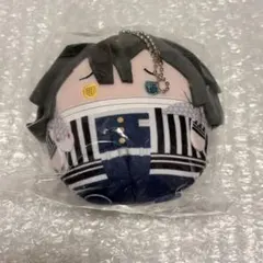 鬼滅の刃 ふわコロりん 伊黒小芭内