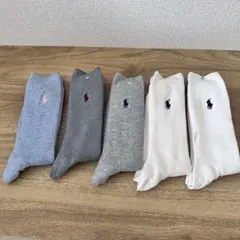 POLO ポロラルフローレンのレディース用ソックス5足セット、新品24~26cm