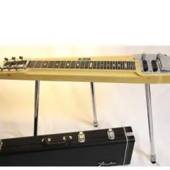 極上美品】Fender フェンダー ダブルネック スチールギター 8弦 - メルカリ