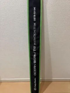 Item thumbnail for item 08b8351a-8c78-4f83-8440-a41b7c8be4ae