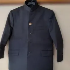 Item thumbnail for item 6c1c1355-59c6-4871-a14e-3caf4eb9b4cd