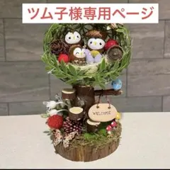 どんぐりアート モコねえさん様専用ページ - メルカリ