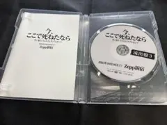 甘い暴力 今、ここで死ねたなら 2023.10.14. Zepp 新宿】