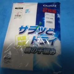 GUNZE メンズ 半袖U首 2枚組 Mサイズ