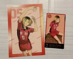 ハイキュー 孤爪研磨