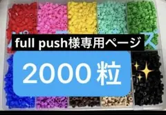 fullpush様専用ページ 2000粒