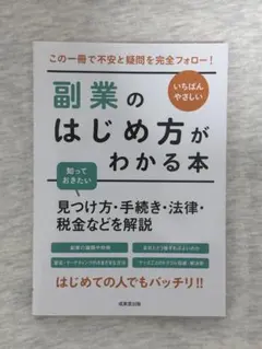 いちばんやさしい 副業のはじめ方がわかる本