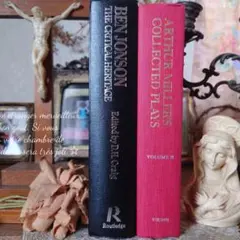 A759 ヴィンテージ 洋書 お洒落な組み合わセット ディスプレイ インテリア