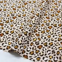 Item thumbnail for item 7b7ba9a7-c629-41ff-b4bf-32dc01946e69