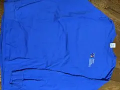 Grand Canyon ロングスリーブTシャツ ブルー