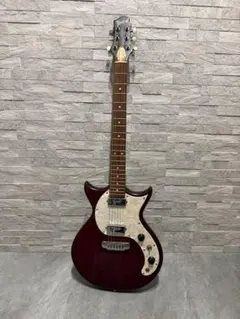 2026年最新】Burny SRLG55の人気アイテム - メルカリ