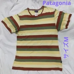 [難あり] Patagonia パタゴニア　Tシャツ　ボーダー柄　サイズM