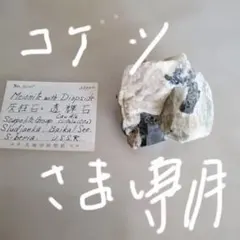 mtg ライオンの瞳のダイアモンド プレイマット サインド ウルトラプロ