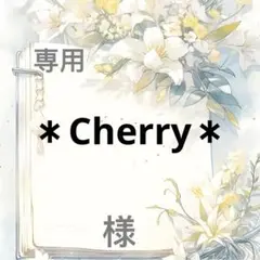 ＊Cherry＊ 様　専用