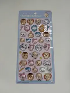 ボンボンドロップシール　ちいかわ　みんなポーズ　正規品