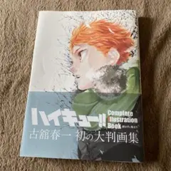 ハイキュー!! Complete Illustration Book