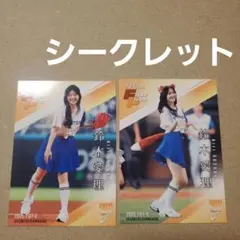 BBM 2025 FUSION 始球式カード　鈴木愛理　シークレット　セット