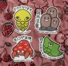 B-SIDE LABEL ポケモン公式コラボ　4枚セット　定価以下