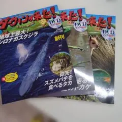2026年最新】ダーウィンが来た dvdブックの人気アイテム - メルカリ
